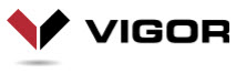Vigor Works